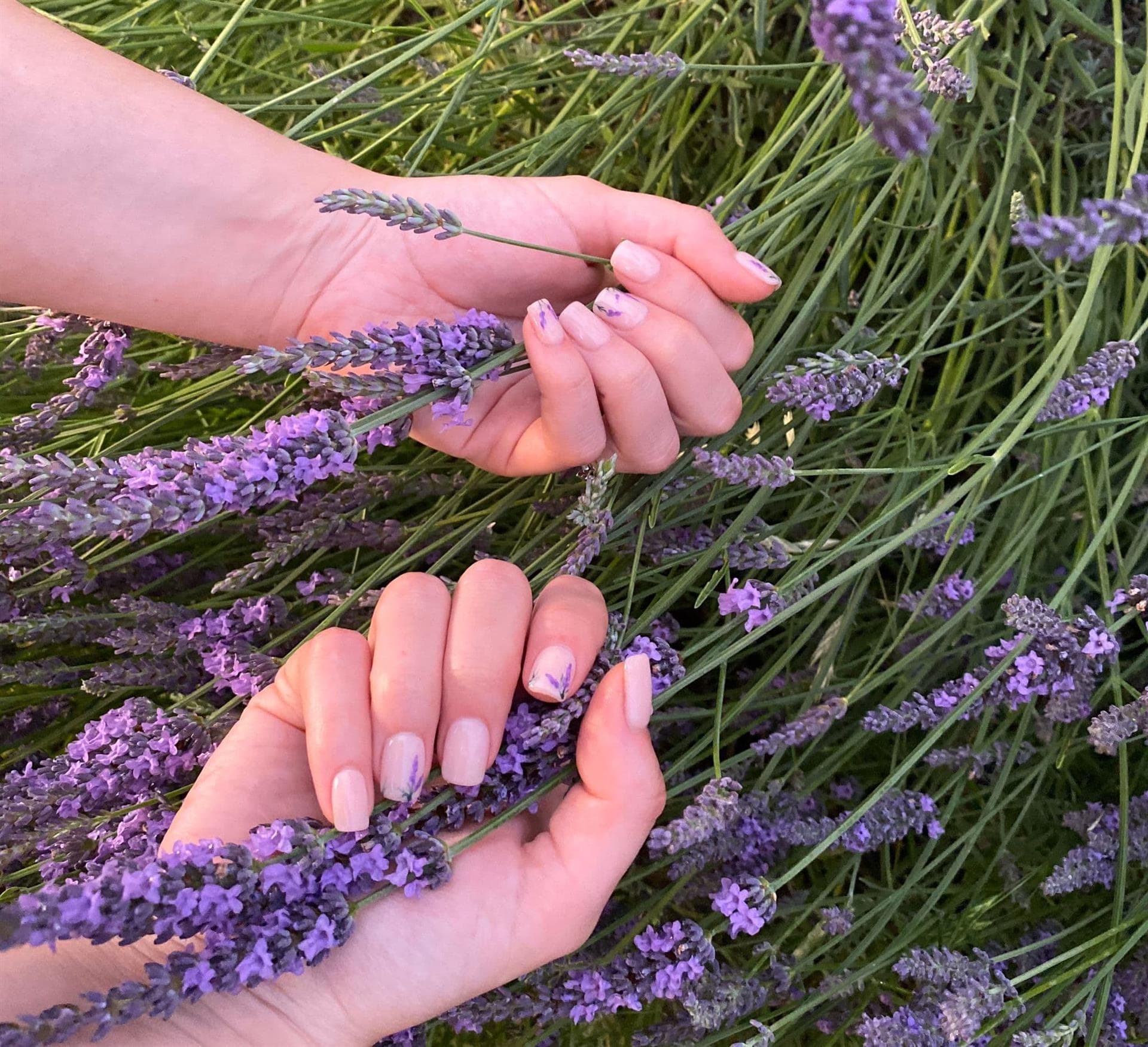 Manicura y pedicura en Ponteareas